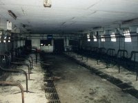 Empty Stanchion Barn